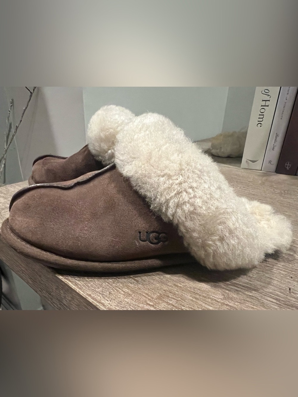 UGG Women’s Brown Suede Shearling Slipper- Chestnut with Cream Fur